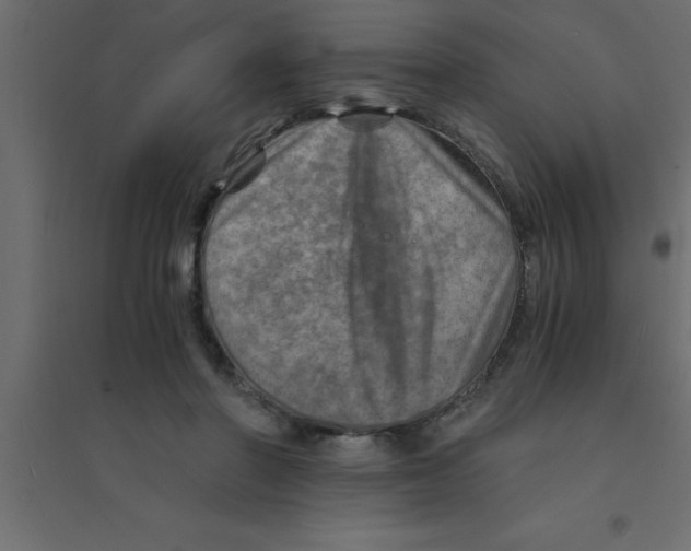 X0000094200406200711241642
