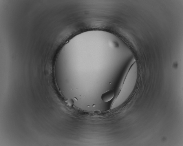 X0000094200407200711241642