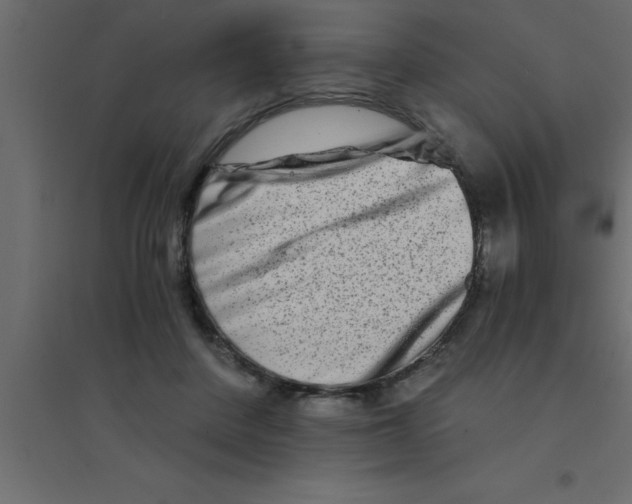 X0000094200408200711241642
