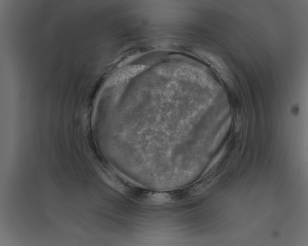 X0000094200409200711241642