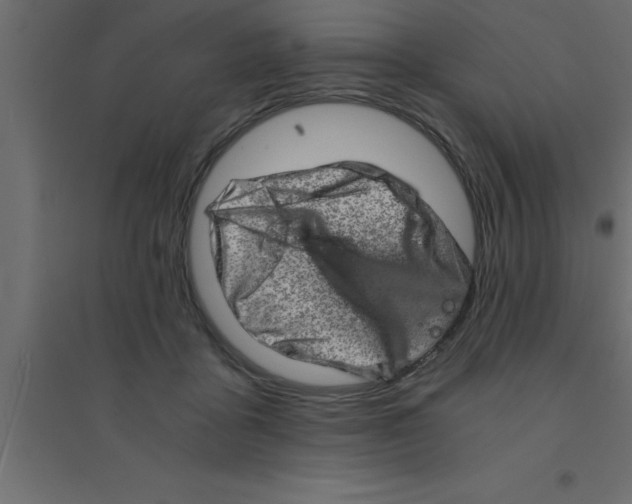 X0000094200411200711241642