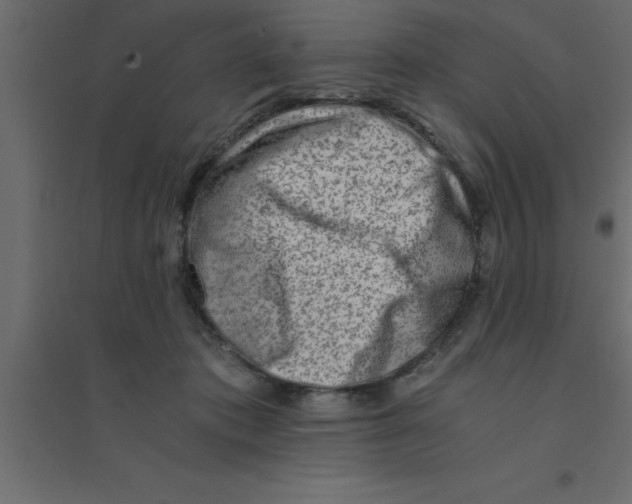 X0000094200413200711241642