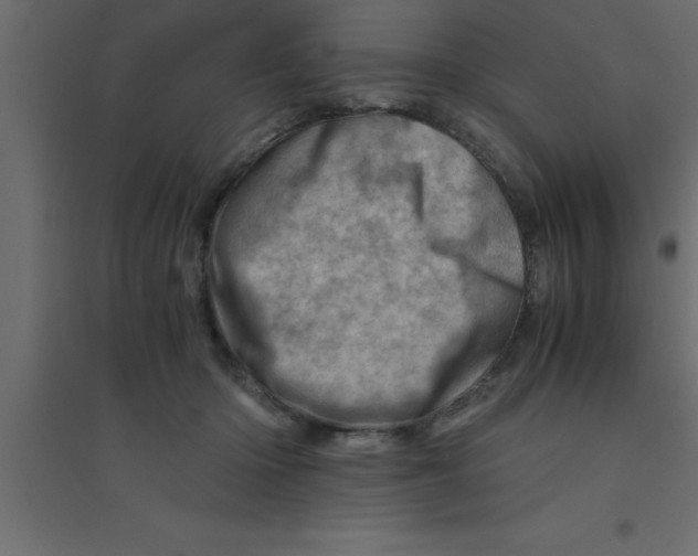X0000094200414200711241642