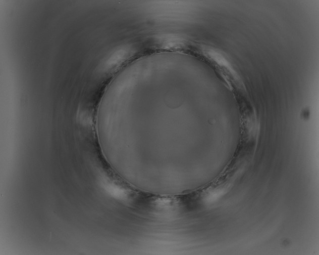 X0000094200415200711241642