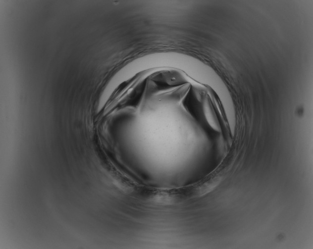 X0000094200416200711241642