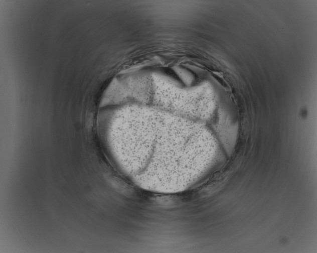 X0000094200417200711241642