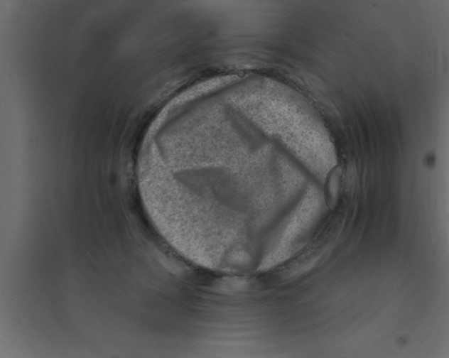 X0000094200418200711241642