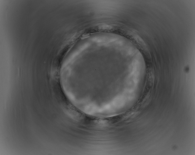 X0000094200419200711241642