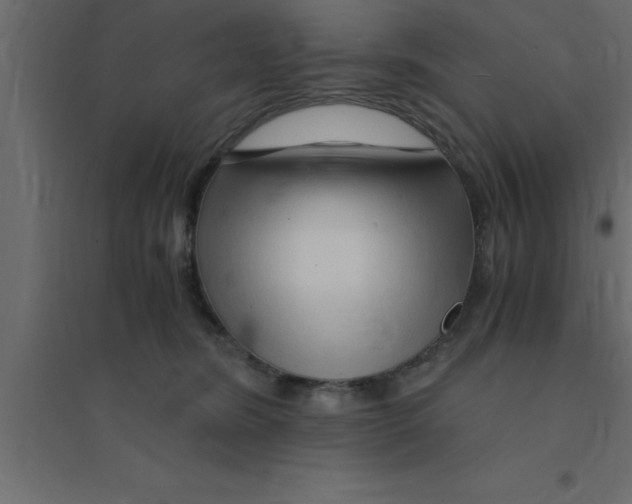 X0000094200420200711241642