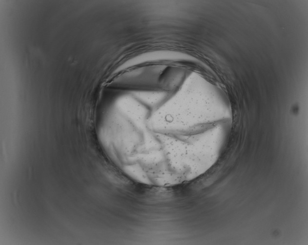 X0000094200421200711241642