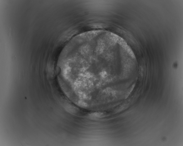 X0000094200422200711241642