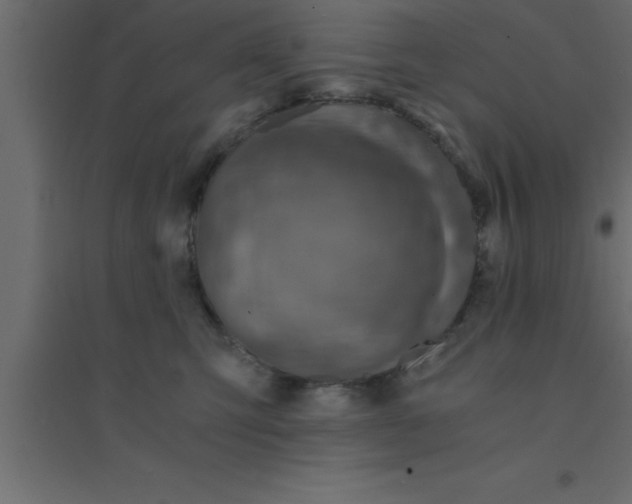 X0000094200423200711241642