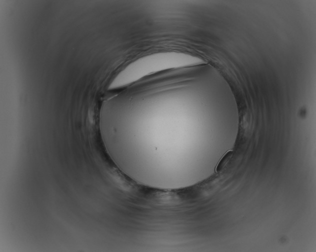 X0000094200424200711241641