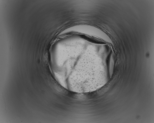 X0000094200425200711241641