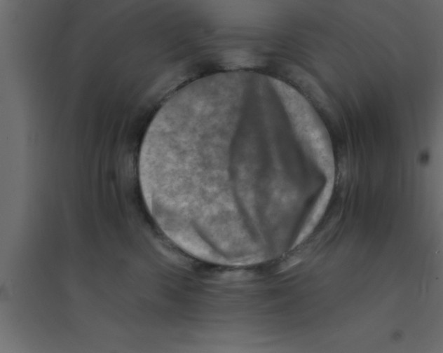X0000094200426200711241641