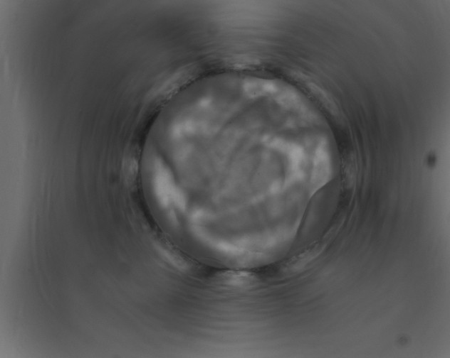 X0000094200427200711241641