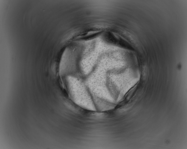 X0000094200428200711241641