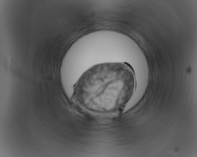 X0000094200429200711241641