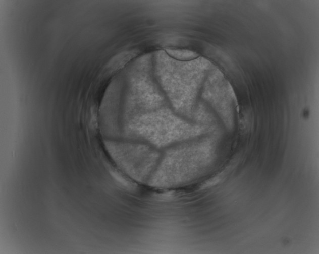 X0000094200430200711241641