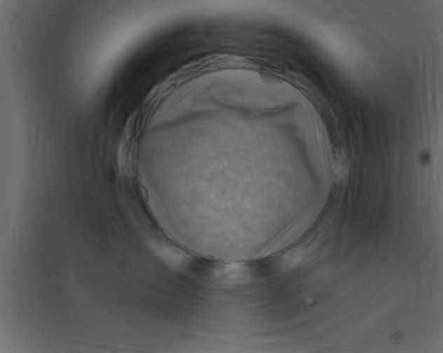 X0000094200431200711241641