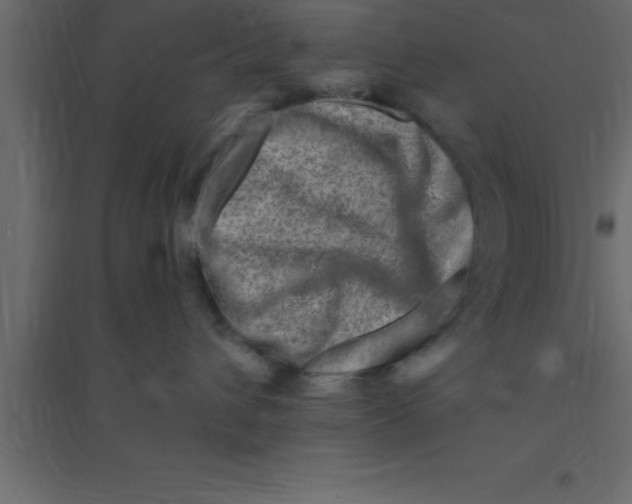 X0000094200432200711241641