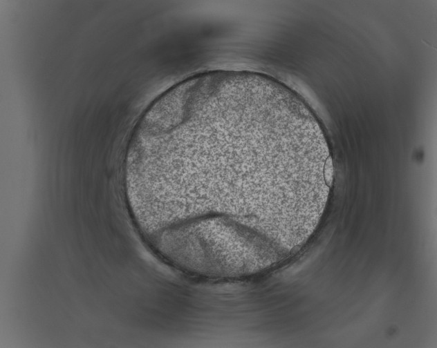 X0000094200433200711241641