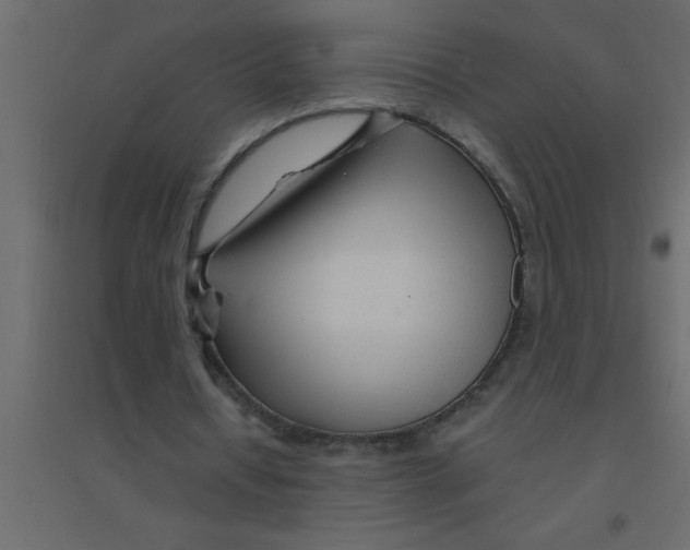 X0000094200434200711241641