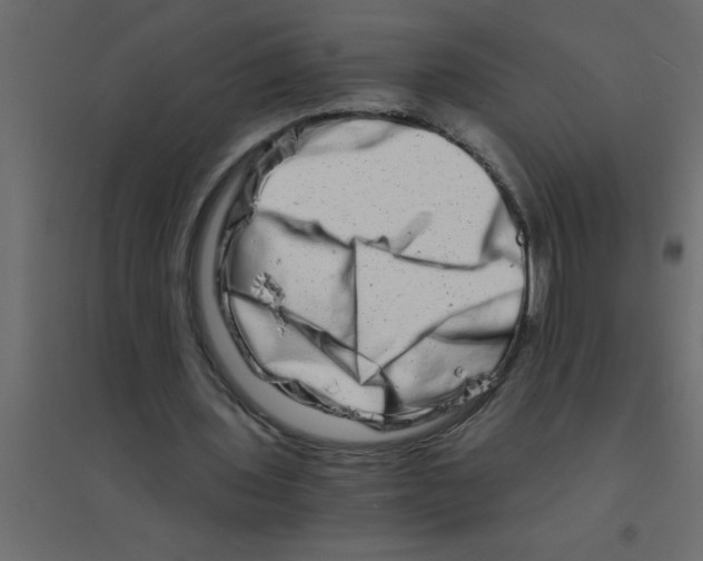 X0000094200435200711241641