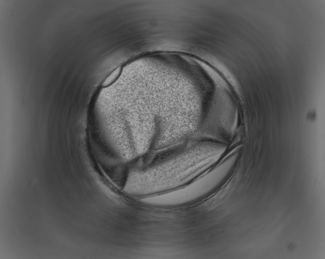X0000094200437200711241641