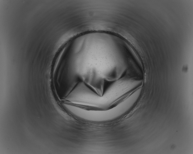 X0000094200438200711241641