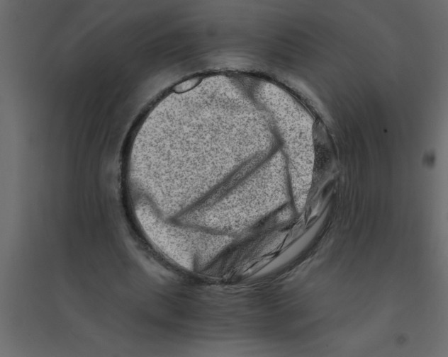 X0000094200439200711241641
