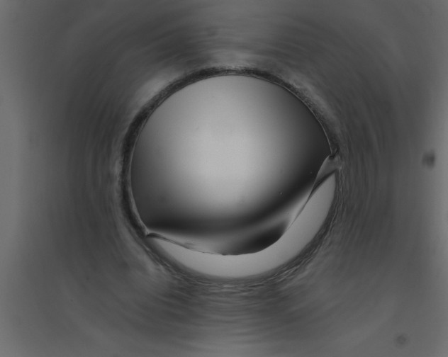 X0000094200440200711241641
