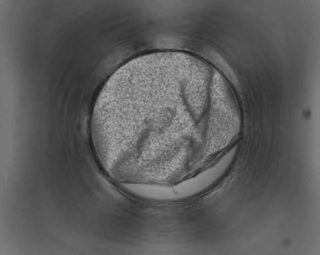 X0000094200441200711241641