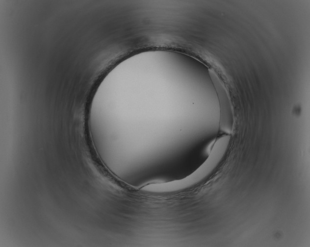 X0000094200442200711241641
