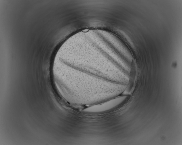 X0000094200443200711241641