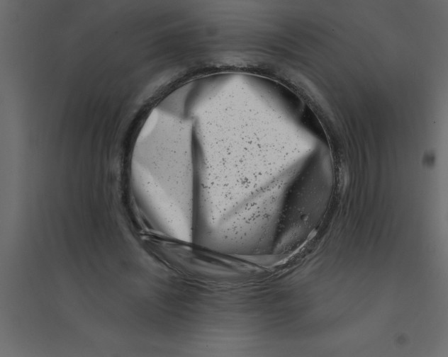 X0000094200444200711241641