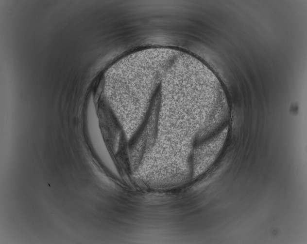 X0000094200445200711241641