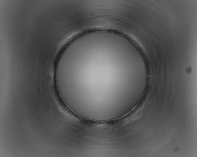 X0000094200446200711241641