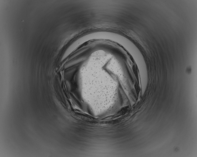 X0000094200448200711241641