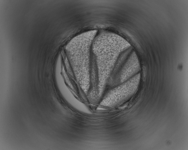X0000094200451200711241641