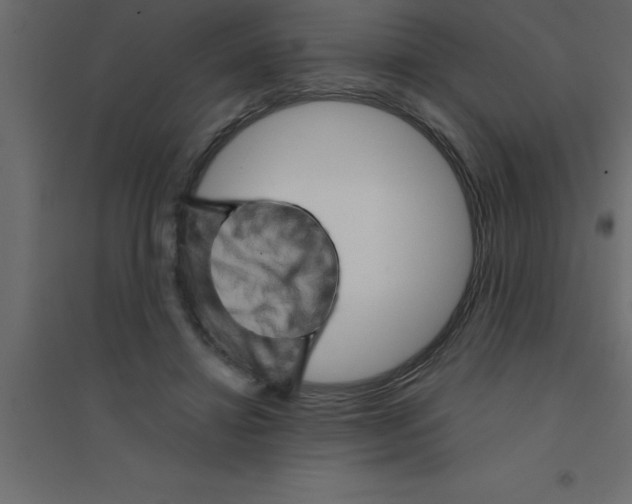 X0000094200452200711241641