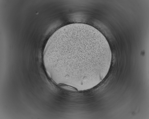 X0000094200453200711241641