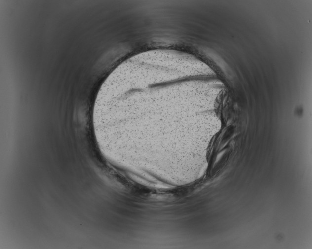 X0000094200455200711241641