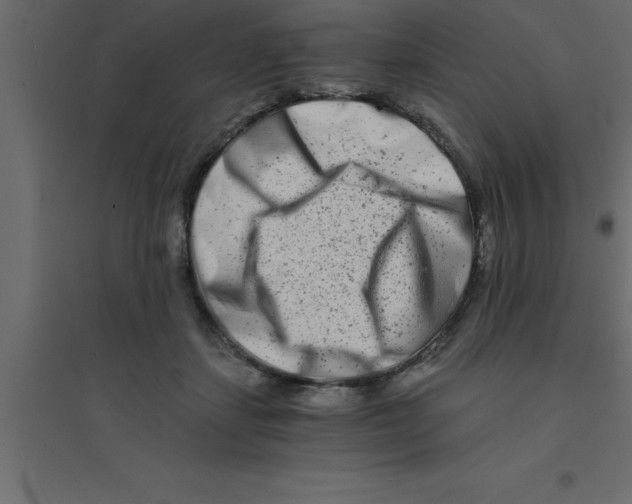 X0000094200459200711241641