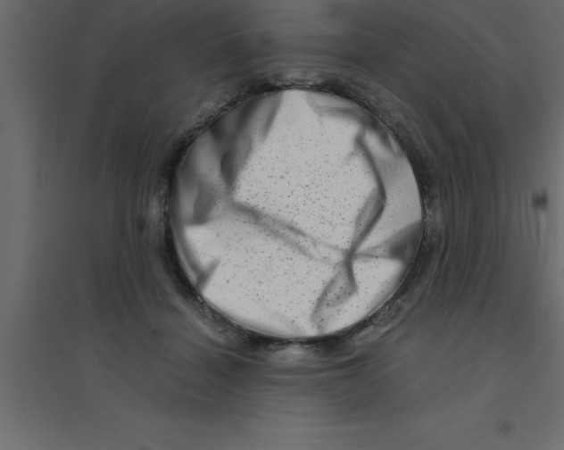 X0000094200460200711241641