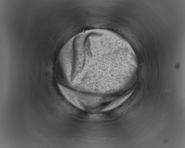 X0000094200461200711241641