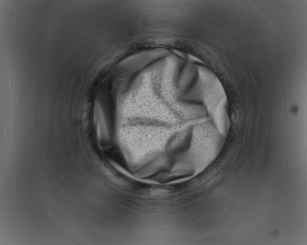 X0000094200462200711241641
