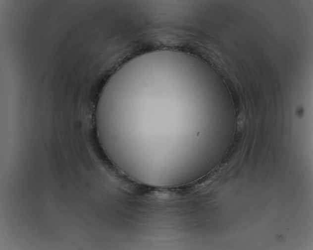 X0000094200464200711241641