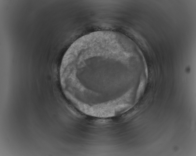 X0000094200465200711241641