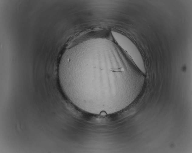 X0000094200466200711241641